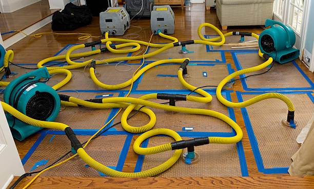 Professional Crawl Space Water Removal technician working in Canton, MS
